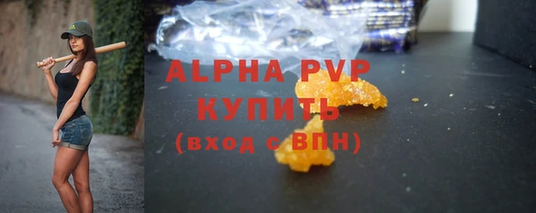 гидра Снежногорск